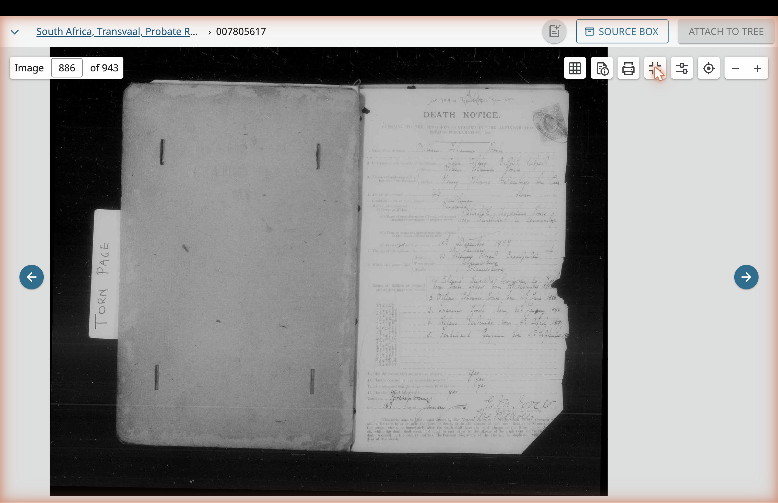The Death Notice for Willem Johannes Jooste, image 886 of the file. The left page of the folio is torn; the right page carries the printed Death Notice form with handwritten responses.